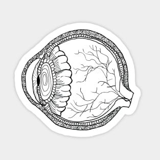 Eye Line Drawing (Black and White) Sticker